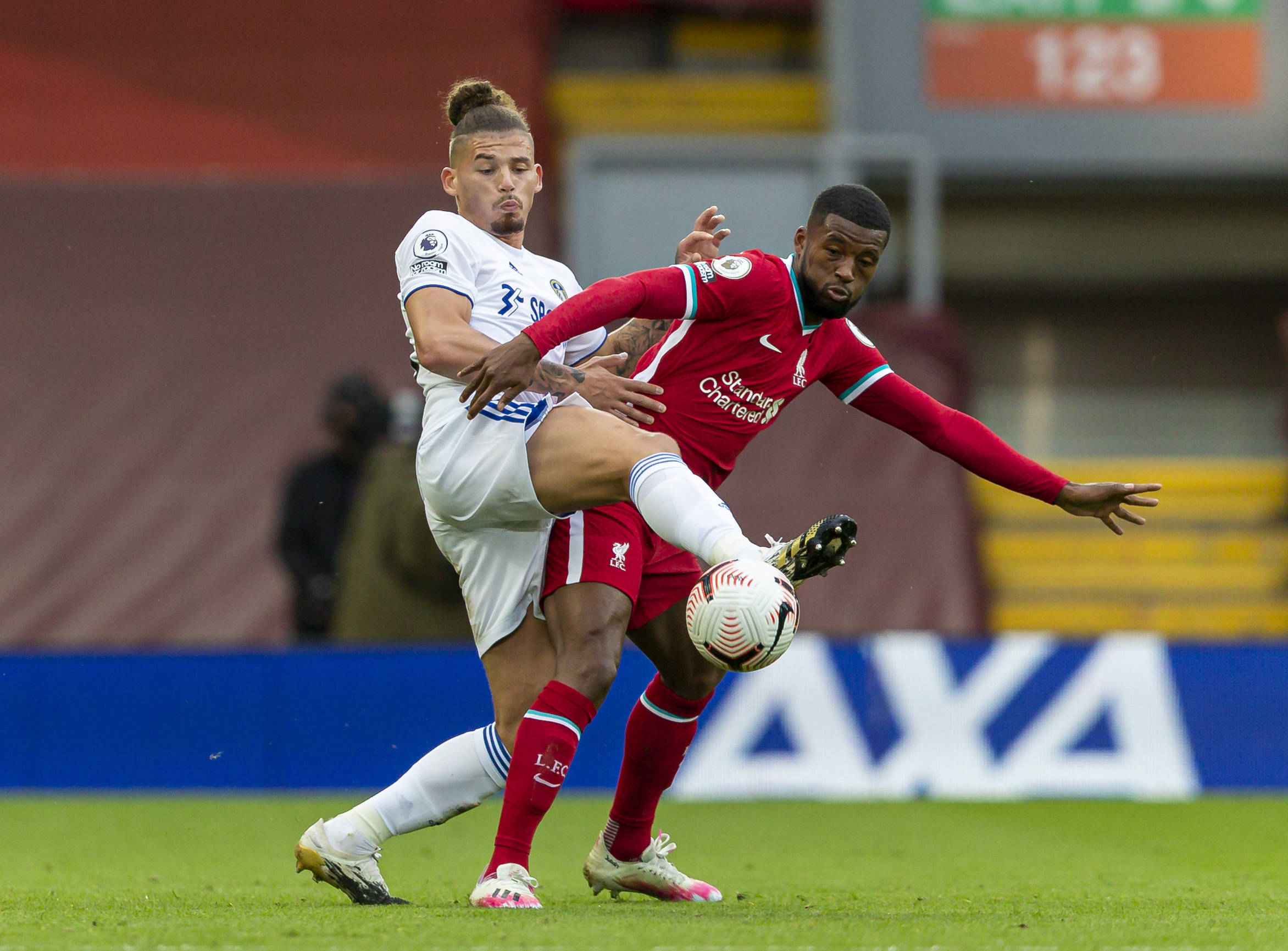 的发展提供 的发展提供