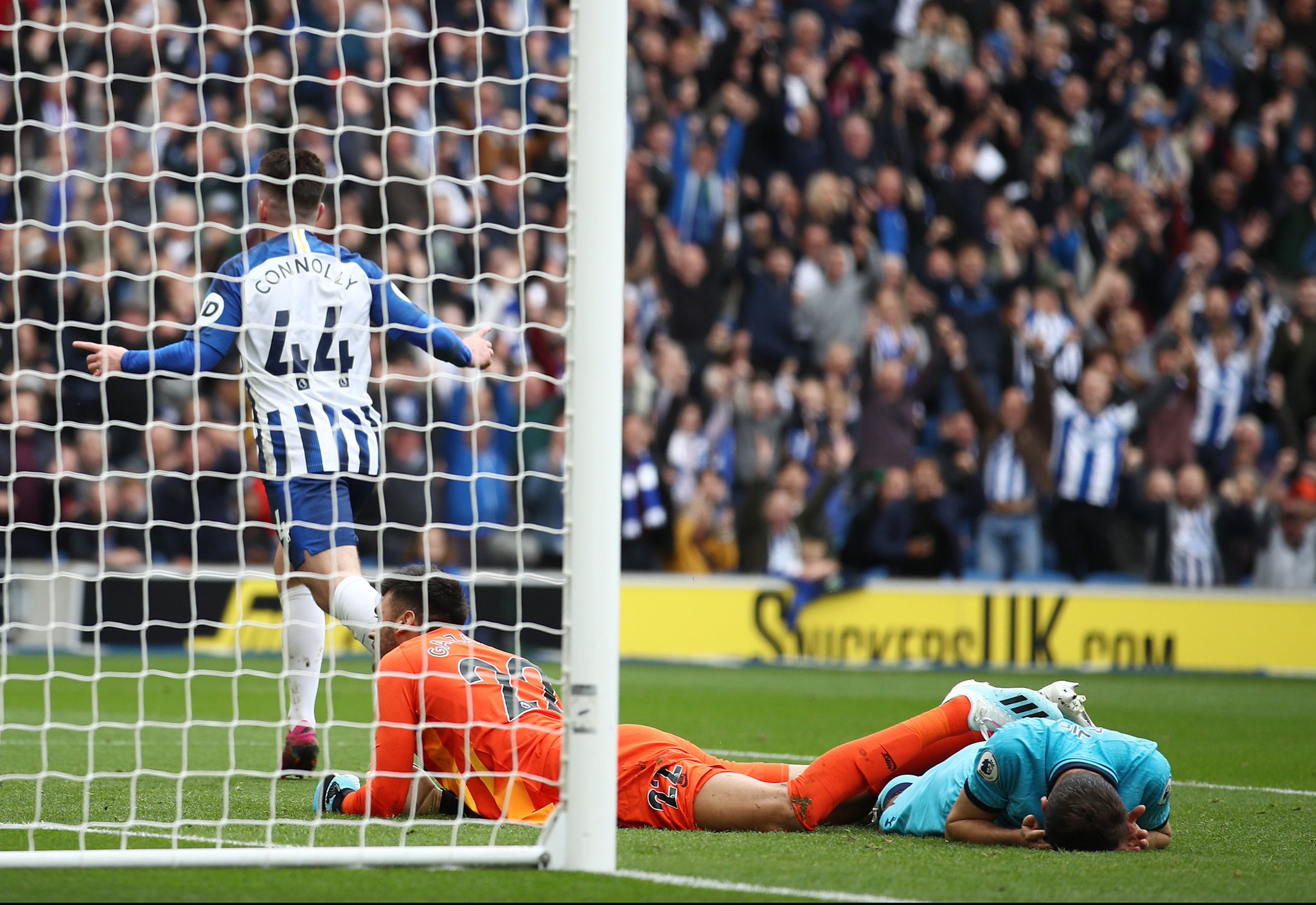 津门虎依然 津门虎依然